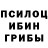 Псилоцибиновые грибы мицелий Vika kislit