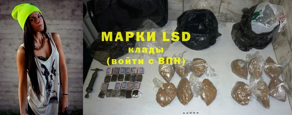 сатива Володарск