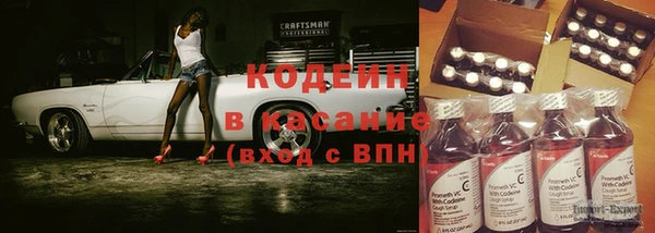 спиды Вяземский