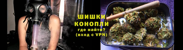 сатива Володарск