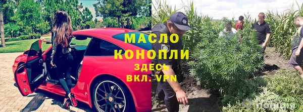 сатива Володарск