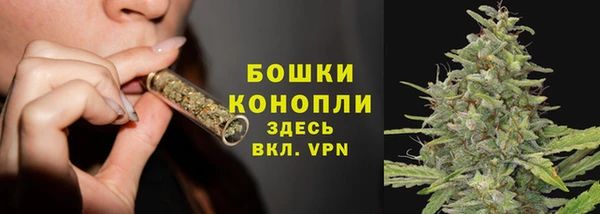сатива Володарск