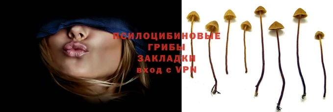 apvp Волоколамск
