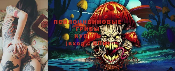apvp Волоколамск