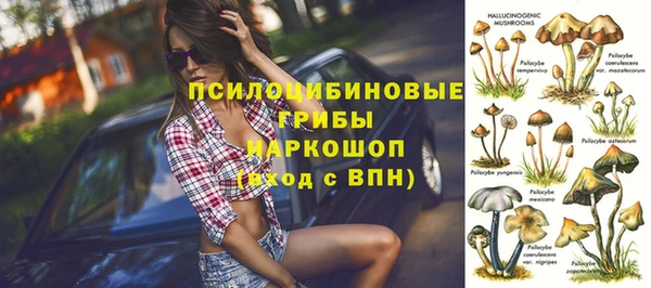 сатива Володарск