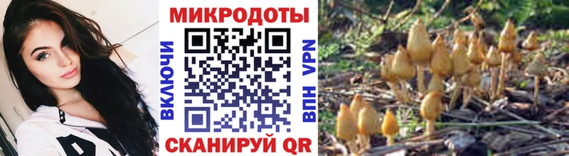 Галлюциногенные грибы Psilocybine cubensis  Купить закладки  Кяхта 